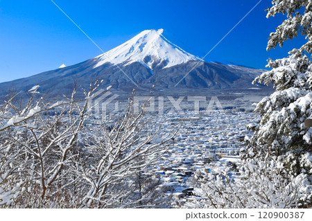A view of the snow-capped Fujiyoshida cityscape and Mt. Fuji from Arakurayama Sengen Park 120900387