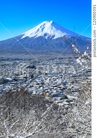 A view of the snow-capped Fujiyoshida cityscape and Mt. Fuji from Arakurayama Sengen Park 120900391
