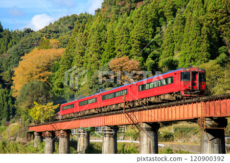 Autumn leaves and the express train "Yufu" (JR Kyushu Kiha 185 series) crossing the Fifth Kusu River Bridge Autumn leaves and the express train "Yufu" (JR Kyushu Kiha 185 series) crossing the Fifth Kusu River Bridge 120900392