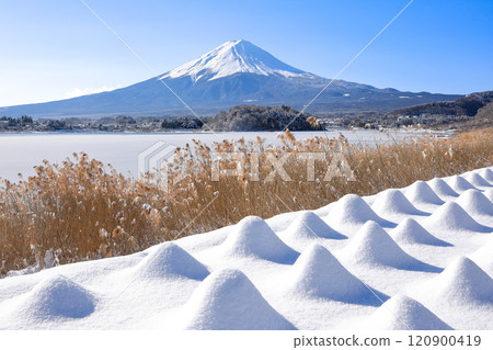 冬季白雪皚皚的薰衣草田和富士山風光河口湖大石公園 冬季白雪皚皚的薰衣草田和富士山風光河口湖大石公園 120900419