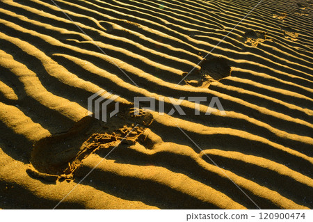 Chichibugahama Beach_Sandy Beach 120900474