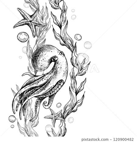 octopus, sea blue algae with leaves wriggling in wave with bubbles and coral starfish. Graphic illustration hand drawn in black ink underwater world. Seamless vertical border pattern for long projects 120900482