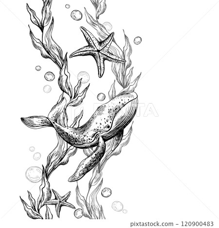 Whale, sea blue algae with leaves wriggling in wave with bubbles and coral starfish. Graphic illustration hand drawn in black ink underwater world. Seamless vertical border pattern for long projects Whale, sea blue algae with leaves wriggling in wave with bubbles and coral starfish. Graphic illustration hand drawn in black ink underwater world. Seamless vertical border pattern for long projects 120900483