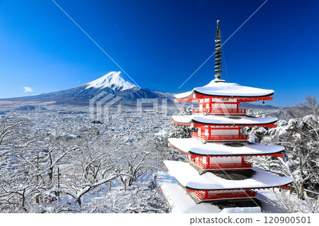 Winter: Stunning view of snow-covered Arakurayama Sengen Shrine Chureito Pagoda and Mt. Fuji, Fujiyoshida City, Yamanashi Prefecture Winter: Stunning view of snow-covered Arakurayama Sengen Shrine Chureito Pagoda and Mt. Fuji, Fujiyoshida City, Yamanashi Prefecture 120900501