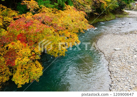 秋葉和野佐子河谷 120900647