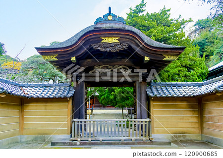 [Kanagawa] Late autumn at Engakuji Temple in Kamakura - Karamon Gate (Imperial Envoy Gate) of the Daihojo 120900685