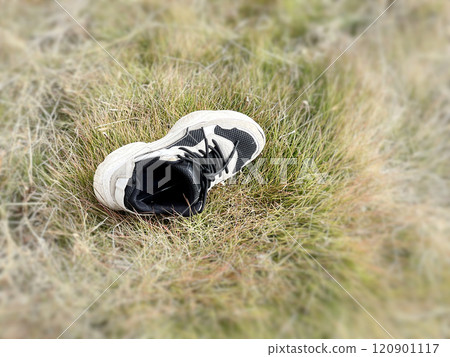 A pair of sneakers lying on the grass 120901117