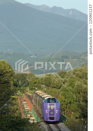 Furano Lavender Express Kiha 261 series lavender formation 120901237