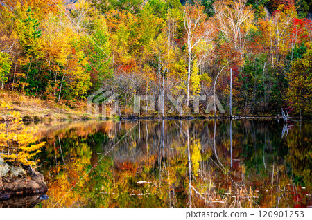 秋天的Norikura Kogen Maime no Ike 120901253