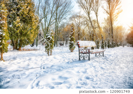 Stunning view of park bench and trees covered by heavy snow. Stunning view of park bench and trees covered by heavy snow. 120901749
