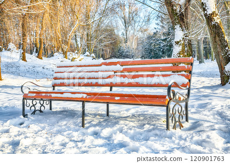 Breathtaking view of park bench and trees covered by heavy snow. 120901763