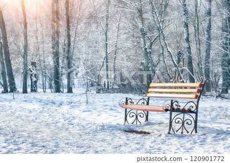 Stunning view of park bench and trees covered by heavy snow. Stunning view of park bench and trees covered by heavy snow. 120901772