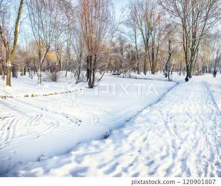 Breathtaking landscape with snow-covered trees in the city park. Breathtaking landscape with snow-covered trees in the city park. 120901807