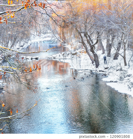 Picturesque landscape in city park with snowy trees and beautiful reflection in frozen river. 120901808