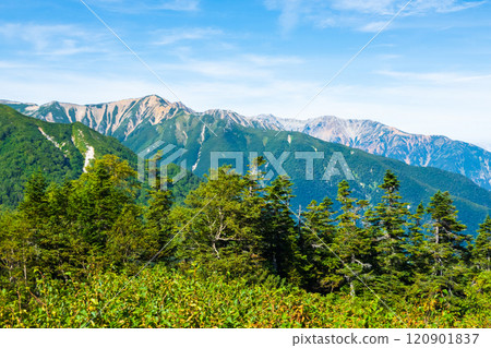 夏季攀登烏帽山、南澤山（從烏帽小屋眺望赤牛山、藥師山） 120901837