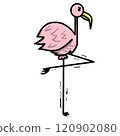 Flamingo's efforts 120902080