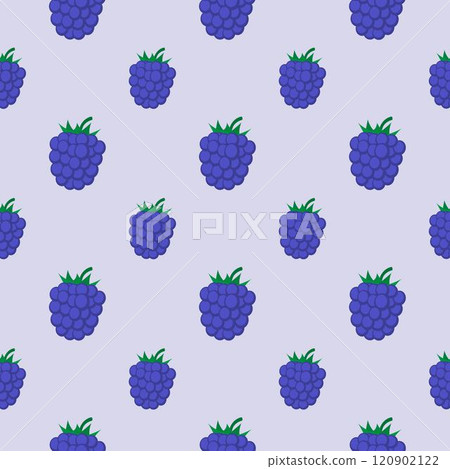 Seamless pattern with blackberry. Vector illustration. 120902122
