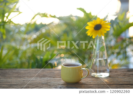 Yellow cup and sunflower in a glass vase on wooden table 120902260