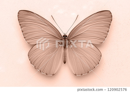Mocha mousse beige butterfly perched on a seamless light surface 120902576