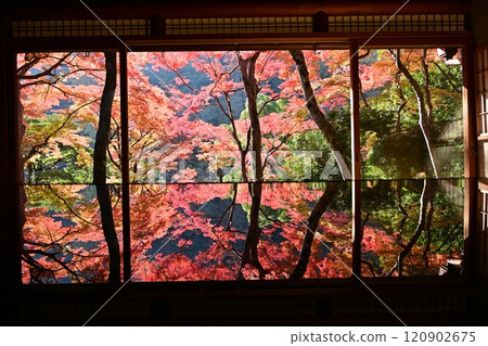 從窗口看的秋葉 從窗口看的秋葉 120902675