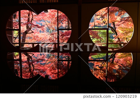 湯西庭園的秋葉 120903219