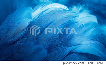 Blue feathers as background, generative ai Blue feathers as background, generative ai 120904261