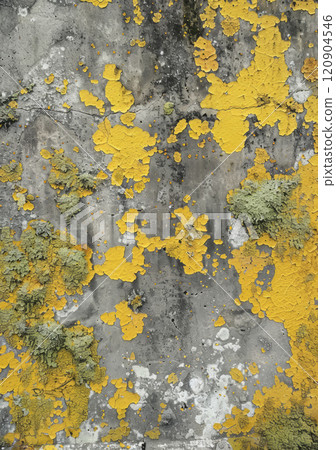 Concrete wall, aged with lichen spots, earthy yellow and green shades. 120904546