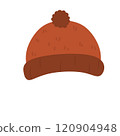 Winter hat, knit hat, snow hat 120904948