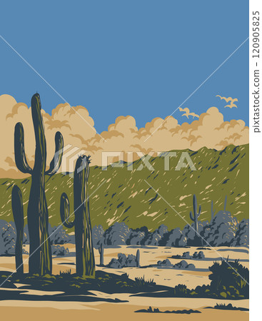 Saguaro in South Mountain Park in Arizona WPA Poster Art Saguaro in South Mountain Park in Arizona WPA Poster Art 120905825