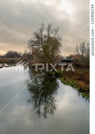 A tree gives a beautiful reflection in a river. A dark sky with clouds in the background 120906244