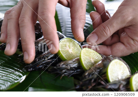Skilled hands artfully arrange fresh tiger shrimp topped with lime slices on vibrant banana leaves. This culinary artistry showcases a blend of flavors and tradition. Skilled hands artfully arrange fresh tiger shrimp topped with lime slices on vibrant banana leaves. This culinary artistry showcases a blend of flavors and tradition. 120906509