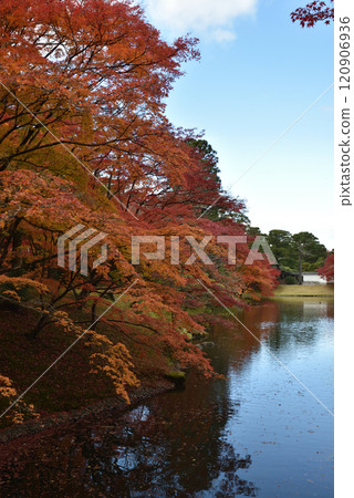 Autumn at Sento Imperial Palace in Kyoto: Maple trees at the North Pond (Kamigyo Ward, Kyoto City) 120906936
