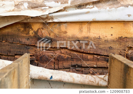 Removed Deck Ledger Board Reveals Dry Rotten Rim Joist Board with Extensive Damage on House Removed Deck Ledger Board Reveals Dry Rotten Rim Joist Board with Extensive Damage on House 120908783