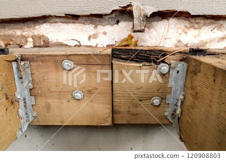 Deck Ledger Board Incorrectly Installed over Wood Siding has led to Extensive Dry Rot and Damage Deck Ledger Board Incorrectly Installed over Wood Siding has led to Extensive Dry Rot and Damage 120908803