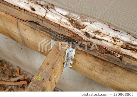 Deck Ledger Board Incorrectly Installed over Wood Siding has led to Extensive Dry Rot and Damage Deck Ledger Board Incorrectly Installed over Wood Siding has led to Extensive Dry Rot and Damage 120908805