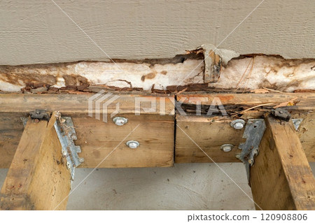 Deck Ledger Board Incorrectly Installed over Wood Siding has led to Extensive Dry Rot and Damage 120908806