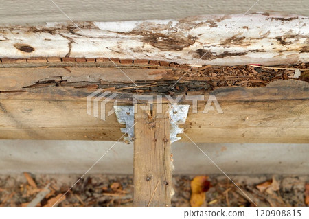 Deck Ledger Board Incorrectly Installed over Wood Siding has led to Extensive Dry Rot and Damage Deck Ledger Board Incorrectly Installed over Wood Siding has led to Extensive Dry Rot and Damage 120908815