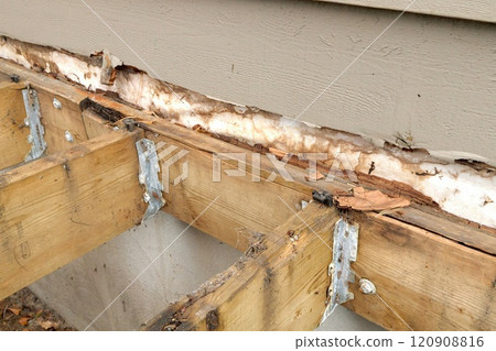 Deck Ledger Board Incorrectly Installed over Wood Siding has led to Extensive Dry Rot and Damage Deck Ledger Board Incorrectly Installed over Wood Siding has led to Extensive Dry Rot and Damage 120908816