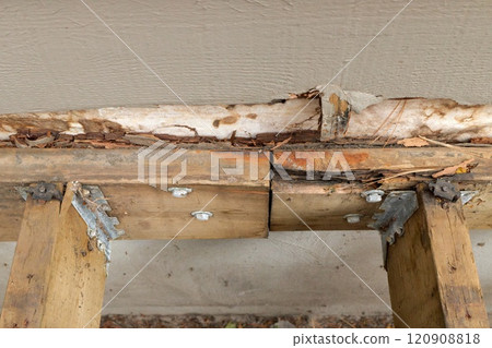 Deck Ledger Board Incorrectly Installed over Wood Siding has led to Extensive Dry Rot and Damage Deck Ledger Board Incorrectly Installed over Wood Siding has led to Extensive Dry Rot and Damage 120908818