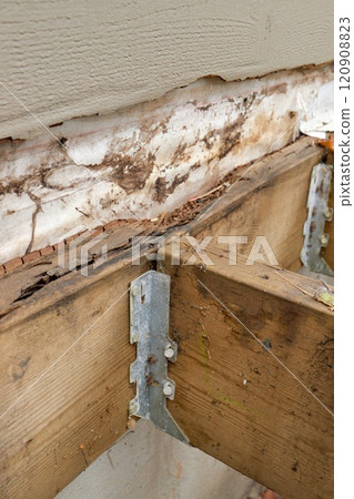 Deck Ledger Board Incorrectly Installed over Wood Siding has led to Extensive Dry Rot and Damage Deck Ledger Board Incorrectly Installed over Wood Siding has led to Extensive Dry Rot and Damage 120908823
