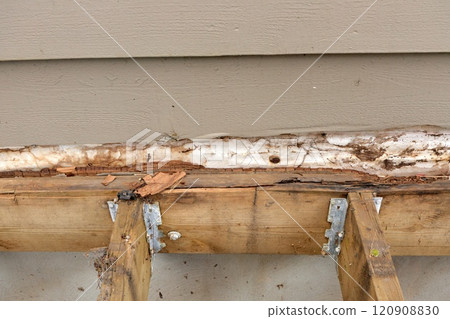 Deck Ledger Board Incorrectly Installed over Wood Siding has led to Extensive Dry Rot and Damage Deck Ledger Board Incorrectly Installed over Wood Siding has led to Extensive Dry Rot and Damage 120908830
