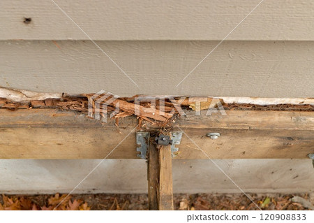 Deck Ledger Board Incorrectly Installed over Wood Siding has led to Extensive Dry Rot and Damage Deck Ledger Board Incorrectly Installed over Wood Siding has led to Extensive Dry Rot and Damage 120908833