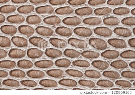 Close-up texture of reptile skin with oval patterns, Mocha mousse color Close-up texture of reptile skin with oval patterns, Mocha mousse color 120909163