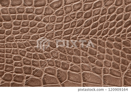 Texture of genuine leather closeup, embossed under skin of reptile, natural background. Mocha mousse color Texture of genuine leather closeup, embossed under skin of reptile, natural background. Mocha mousse color 120909164
