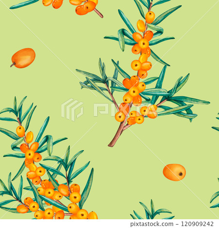 Seamless pattern of sea buckthorn branches. Watercolor seamless pattern of ripe orange berries and leaves. Wallpaper illustration for wrapping paper, weaving or product labels 120909242