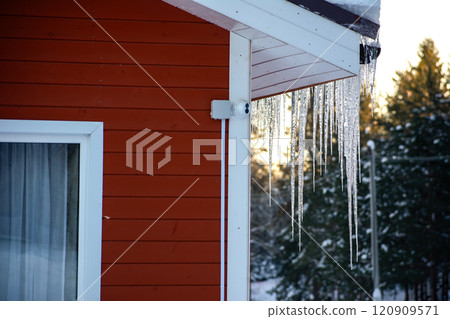 Beautiful icicles gracefully hanging from a cozy red house in a winter setting 120909571