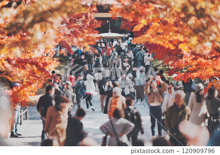 Tourists coming to see the autumn leaves at Nanzenji Temple Tourists coming to see the autumn leaves at Nanzenji Temple 120909796