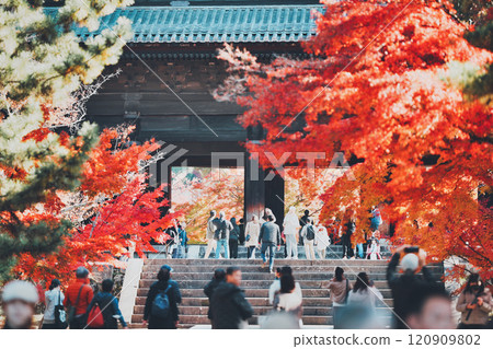 來南禪寺賞紅葉的旅客 120909802