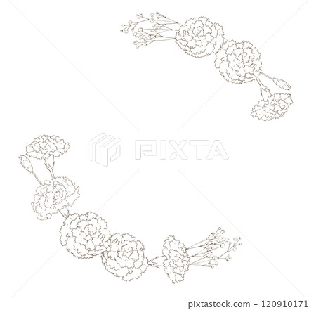Carnation pen drawing circle frame 120910171