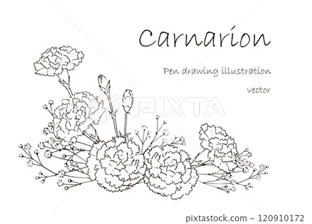 Carnation pen drawing decoration 120910172
